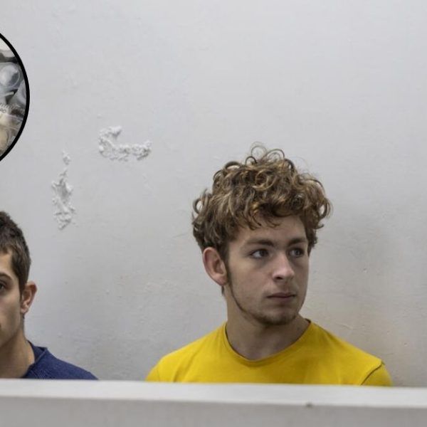Kenyan Court Sentences Four Men for Attempting to Smuggle Thousands of Queen Ants